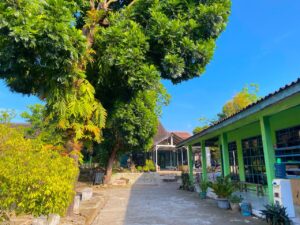 Sekolah Gratis